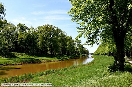 Fluss in der Lausitz