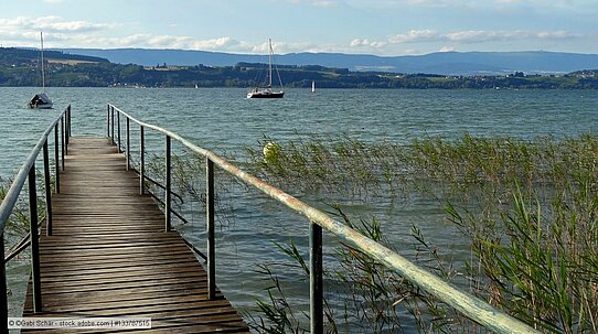 „Projet Lac“: Schweizer Seen sind Hotspots der Fischvielfalt