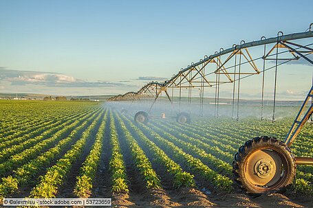 Rechnungshof: EU hindert Landwirte  nicht an übermäßigem Wasserverbrauch