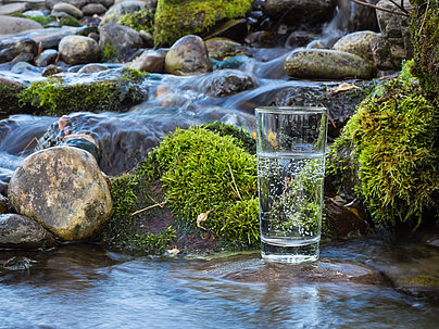 EUWID-Interview: „Das Gesundheitsrisiko über den Eintragspfad Trinkwasser ist vernachlässigbar“