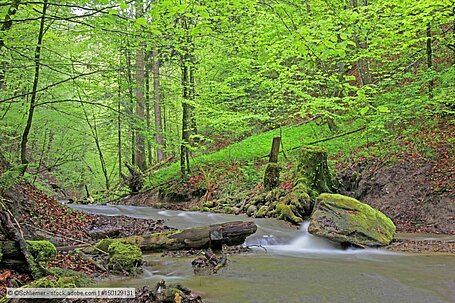 BAFU: In der Schweiz sind viele Fließgewässer biologisch in einem ungenügenden Zustand