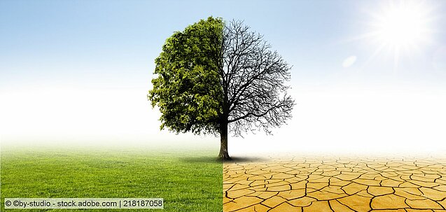 Klimawandel/Baum