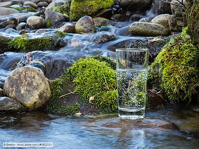 Wasserglas an einem Bach