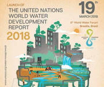 Weltwasserbericht fordert gezielten Einsatz naturbasierter Lösungen