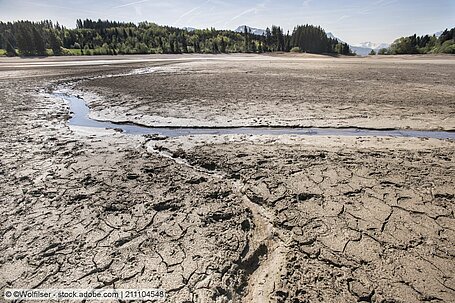 Dürre: Ausgetrocknetes Flussbett