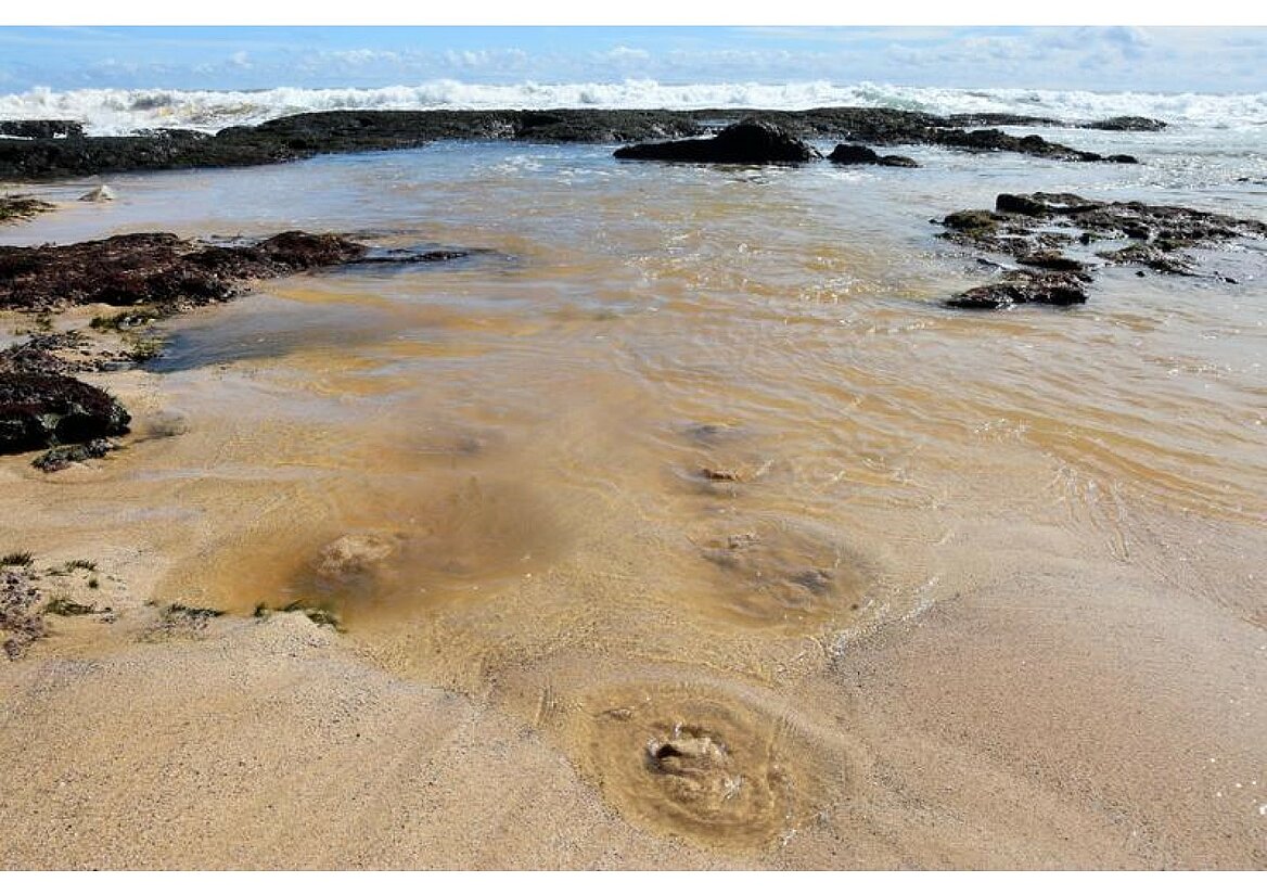 Laut Studie beeinflusst an Küsten austretendes
Grundwasser die Chemie des Ozeans erheblich
