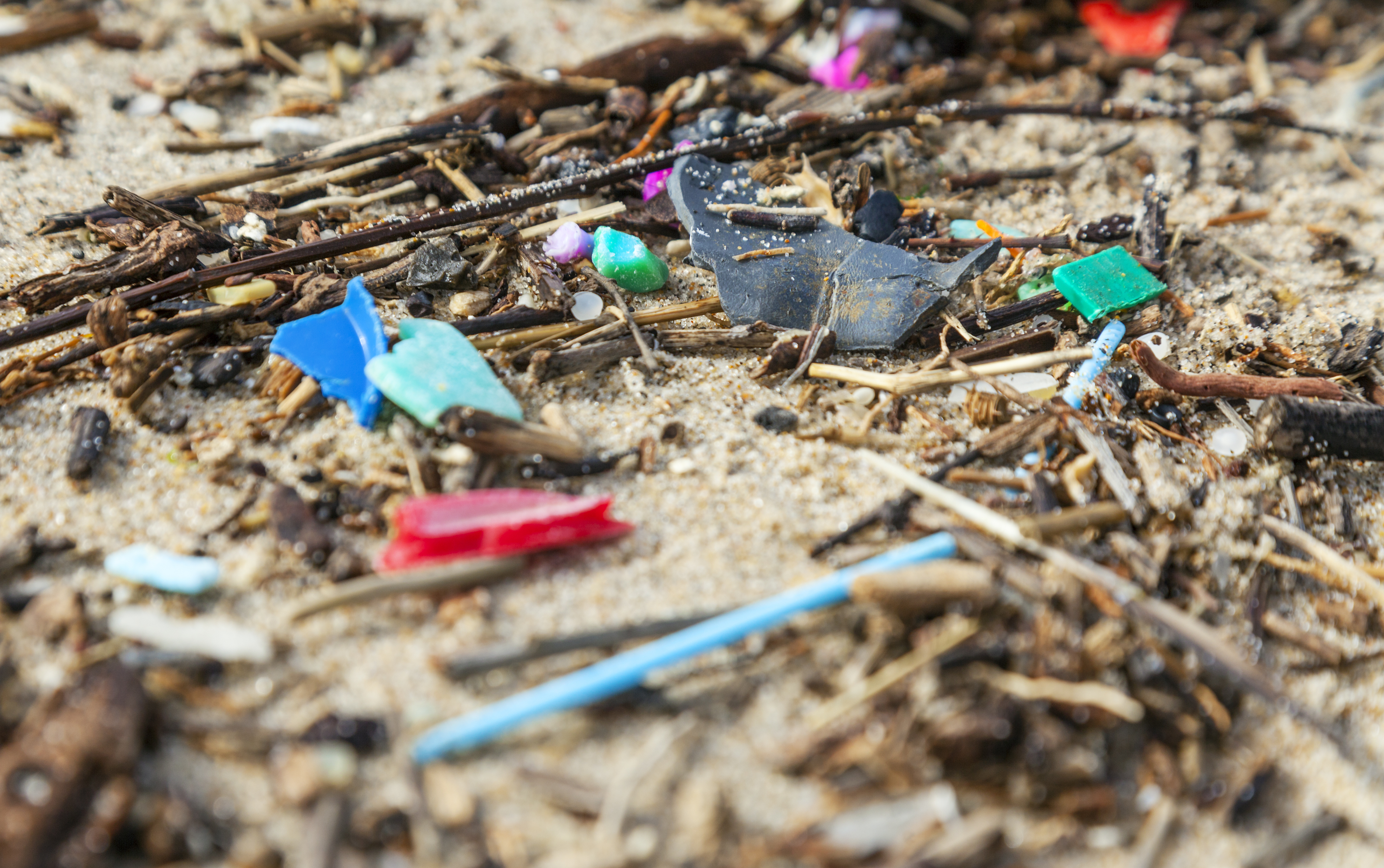 Forschungsprojekt: Wie kann Mikroplastik aus Abwasser entfernt werden?