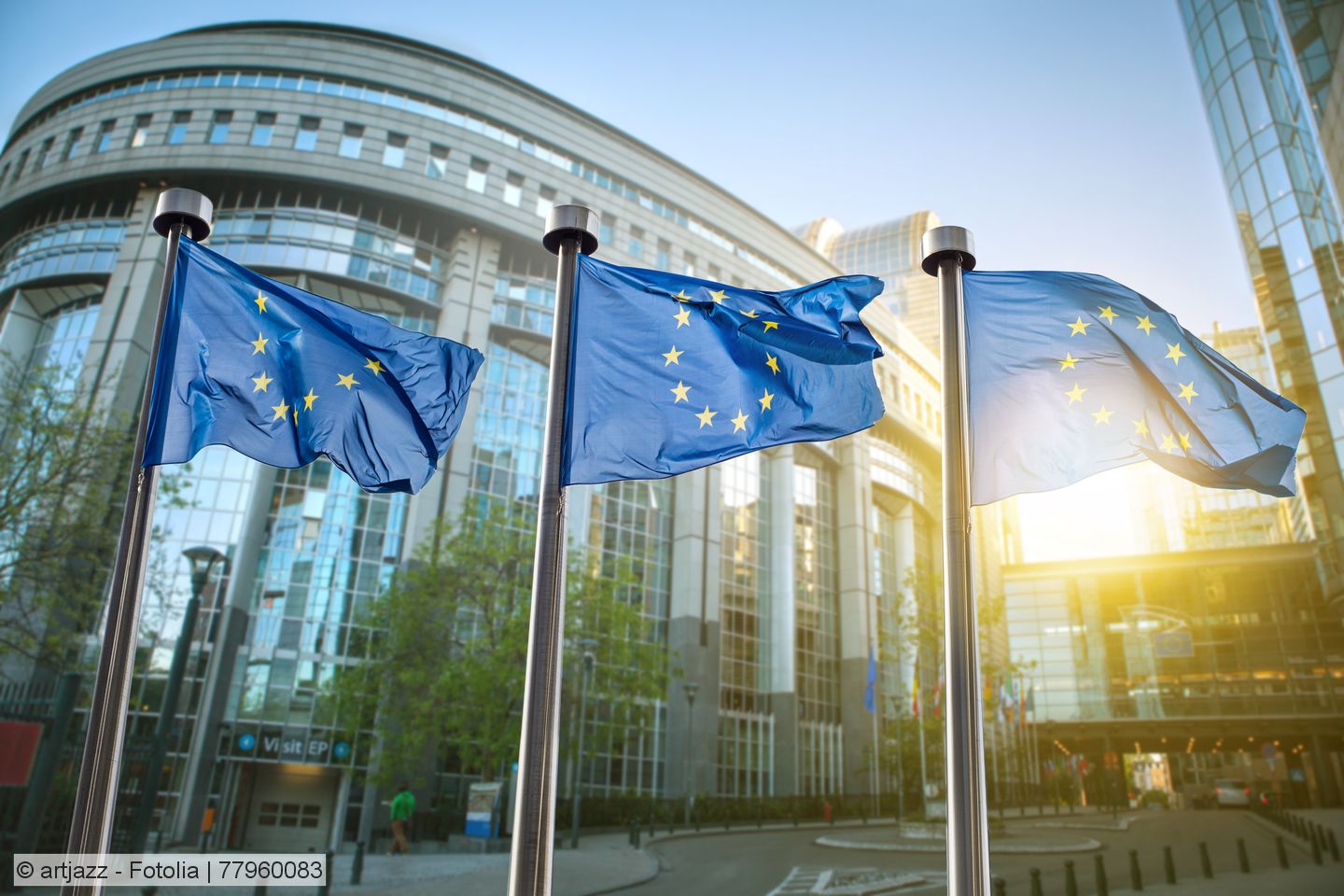 EU-Parlament ermöglicht Sammelklagen in  allen Mitgliedstaaten der Europäischen Union 
