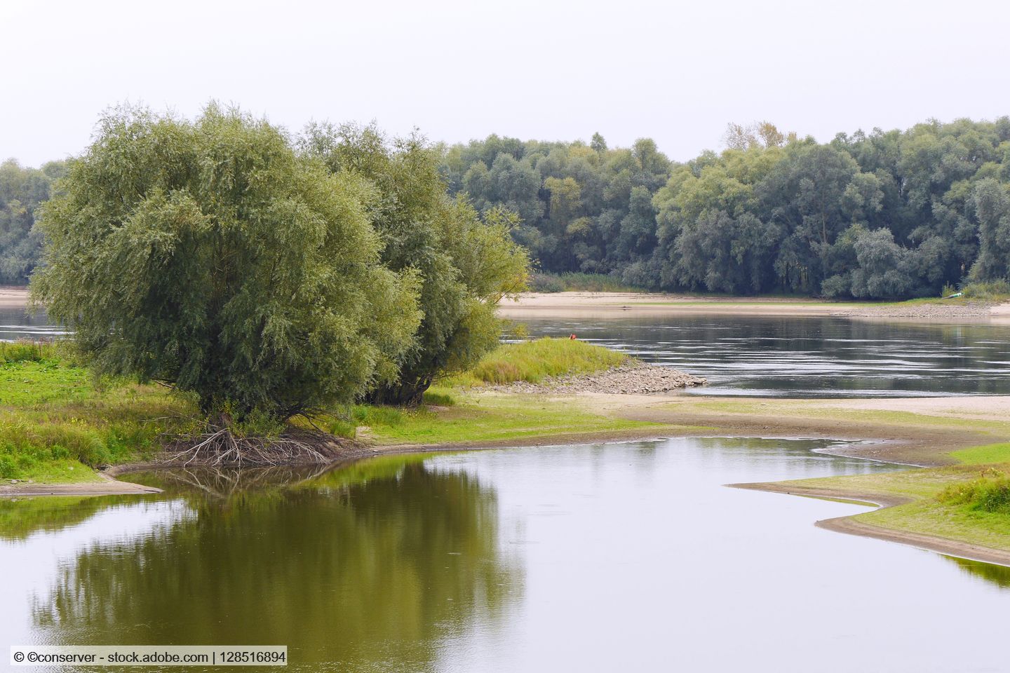 Projekt „Lebendige Auen für die Elbe“ endet mit Schaffung der Insel „Kälberwerder“