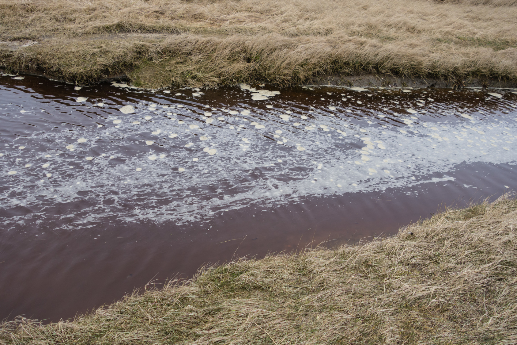 Britische Umweltbehörde kritisiert Anzahl der Gewässerverunreinigungen in England
