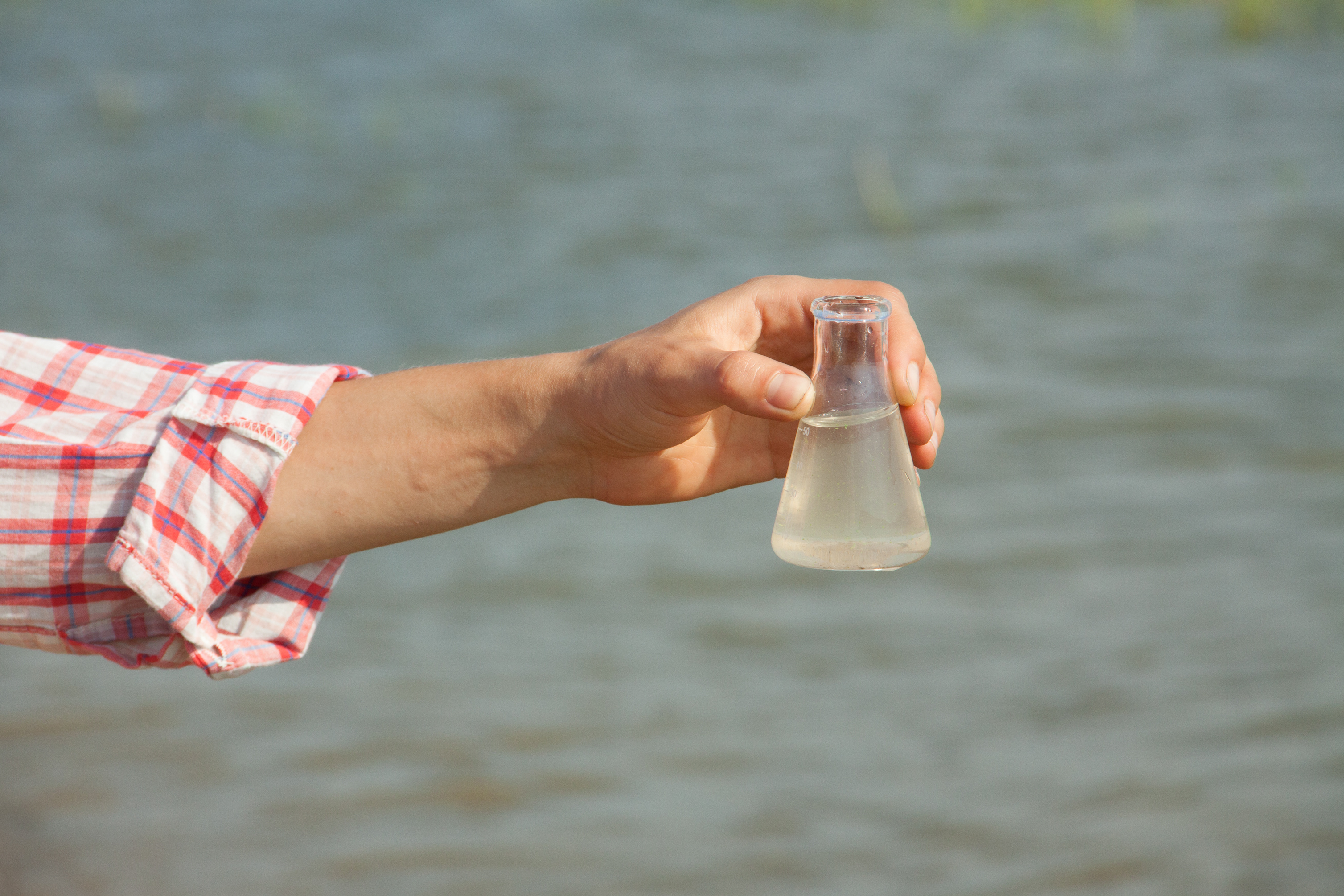 Klarwasser für Kleinlebewesen weniger schädlich als vermutet