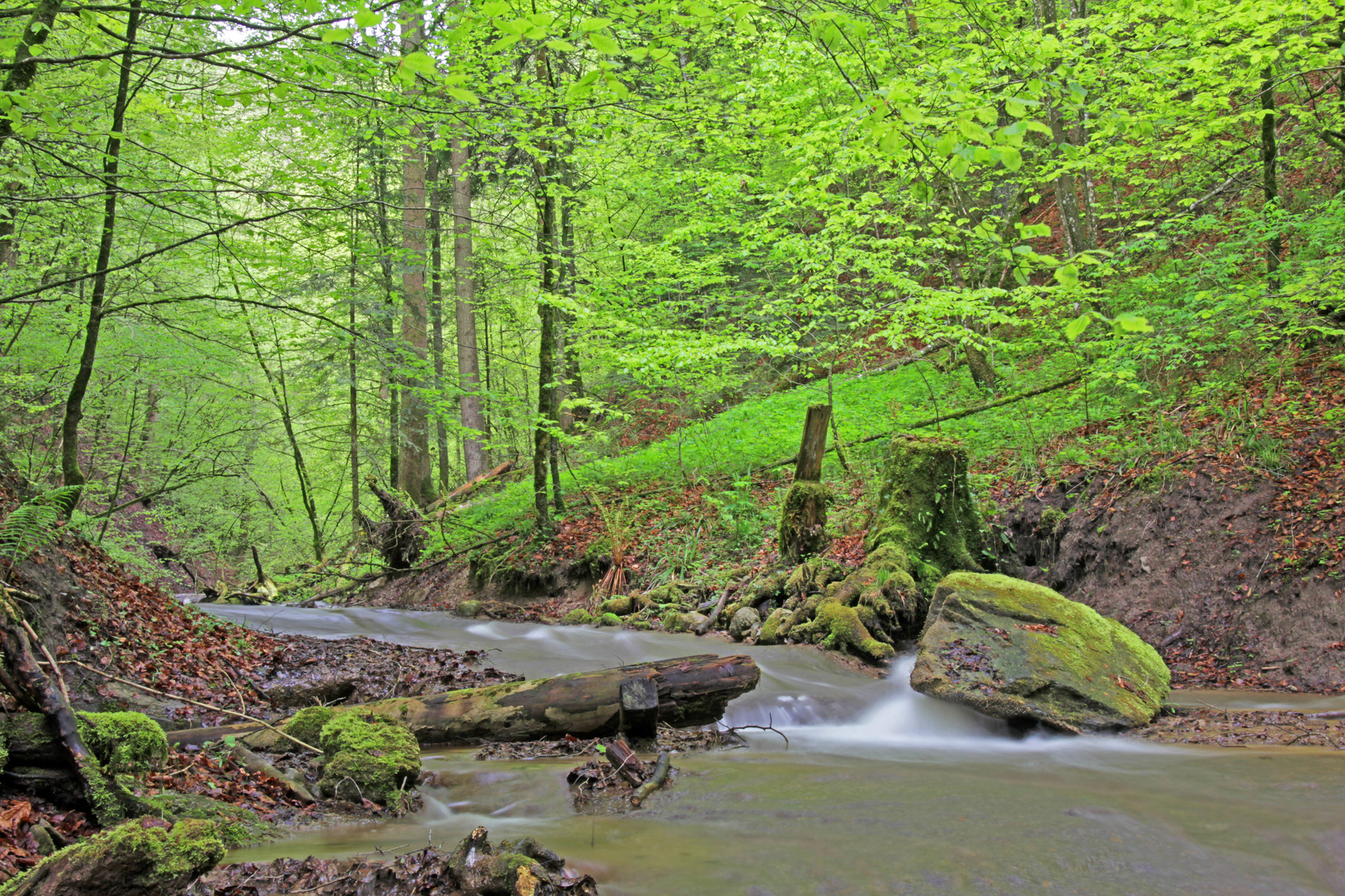 Schweizer Gewässer in landwirtschaftlich genutzten Einzugsgebieten weiter stark mit Pestiziden belastet