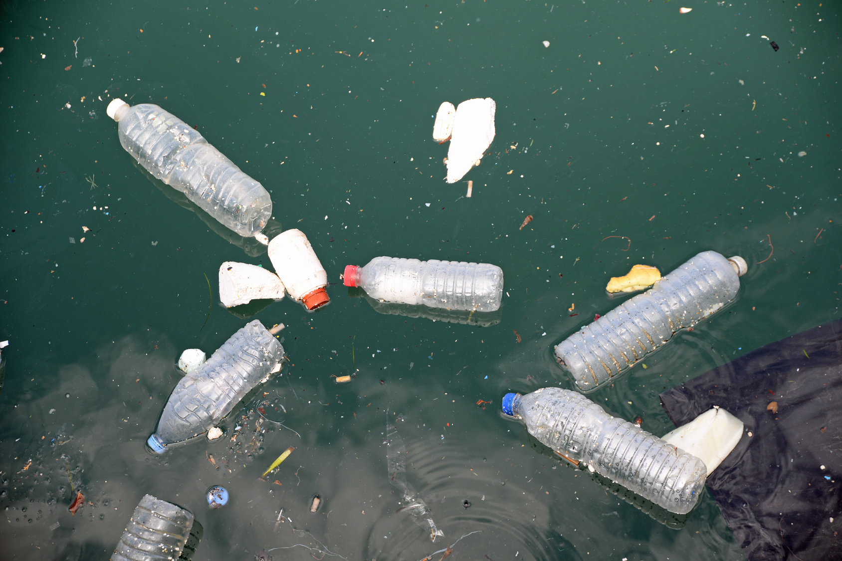 Bundesrat: Minister fordern Maßnahmen für weniger Plastik in Umwelt 
