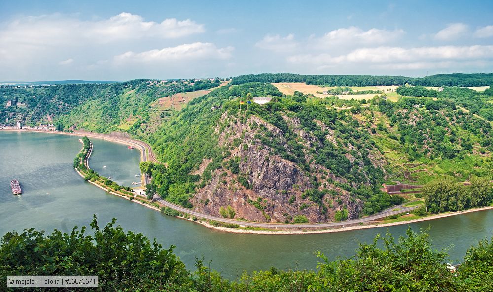 IKSR veröffentlicht Fachberichte zu Ökologie und Wasserqualität des Rheins