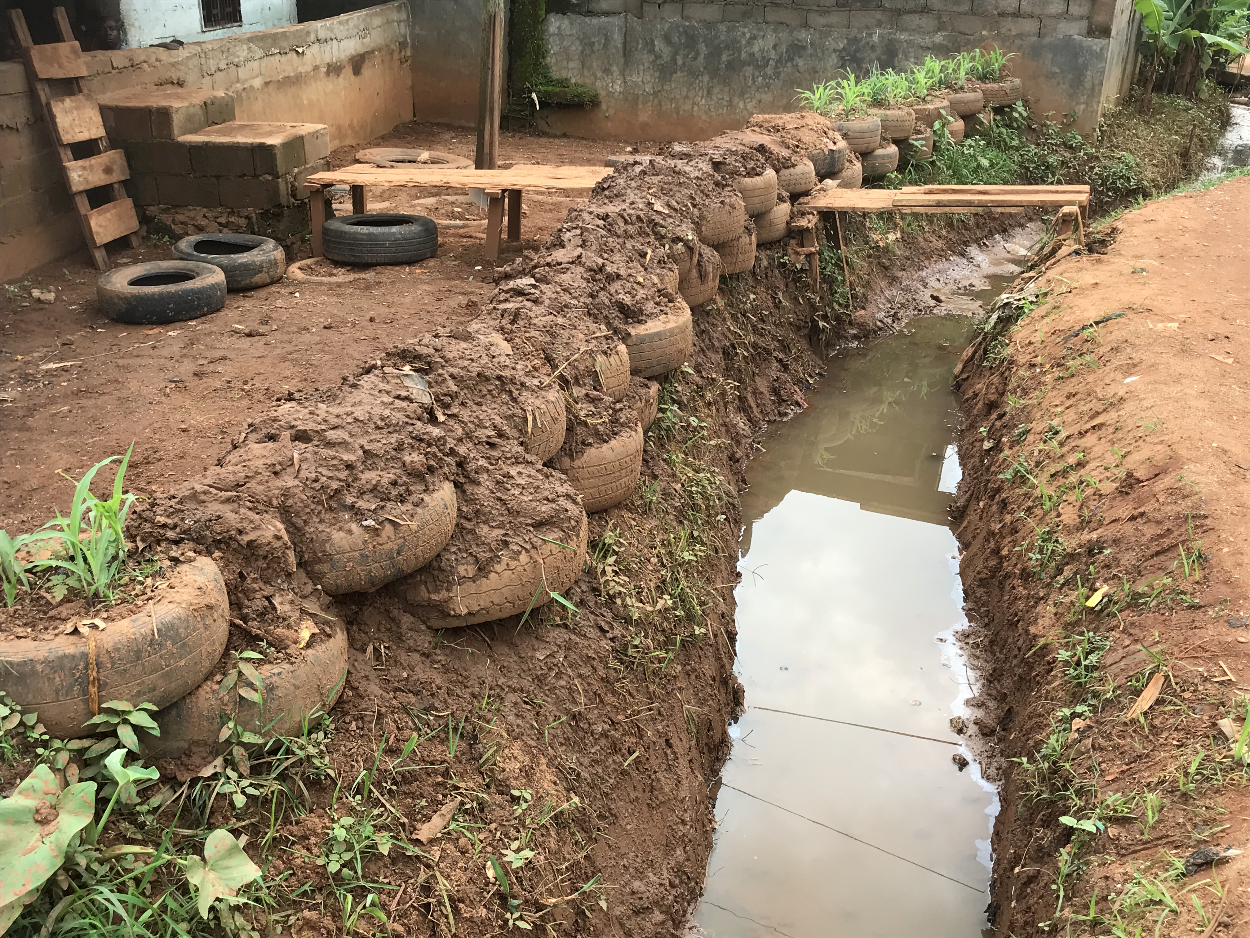 FiW: Projekt „Intewar“ soll in Kamerun Resilienz  gegen Hochwasser und Dürre erhöhen