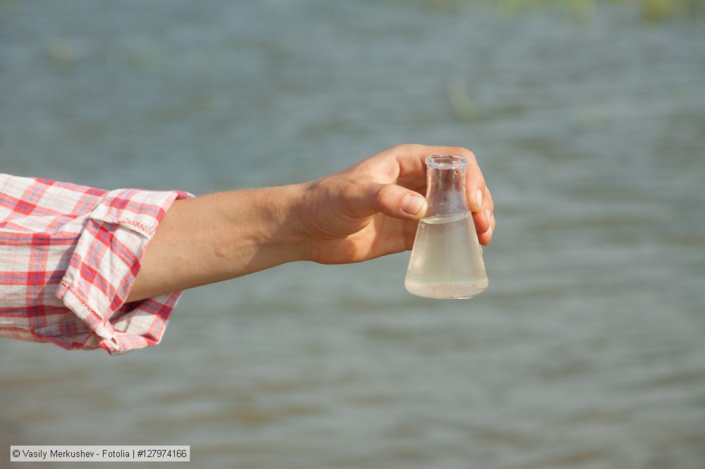 Viele europäische Oberflächengewässer durch organische Schadstoffe belastet
