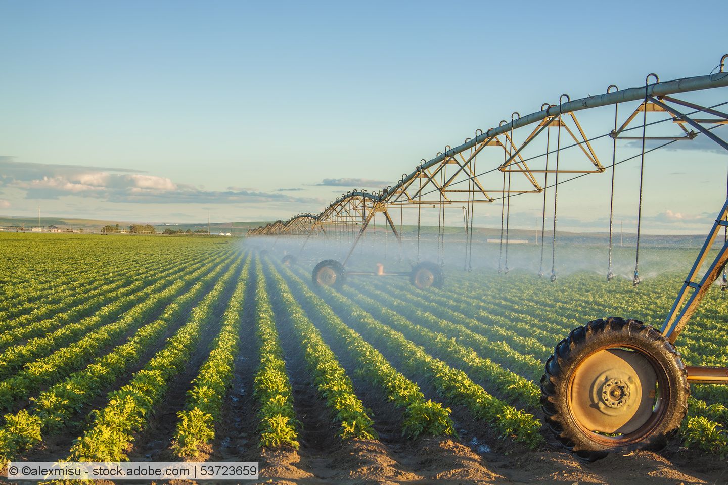 Landwirtschaftliche Bewässerungsprojekte in Bayern: Förderprogramm geht in zweite Runde