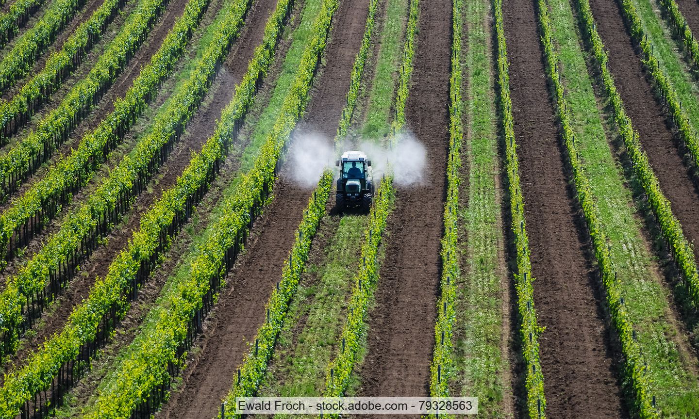 Traktor sprüht Pestizide in Weinreben